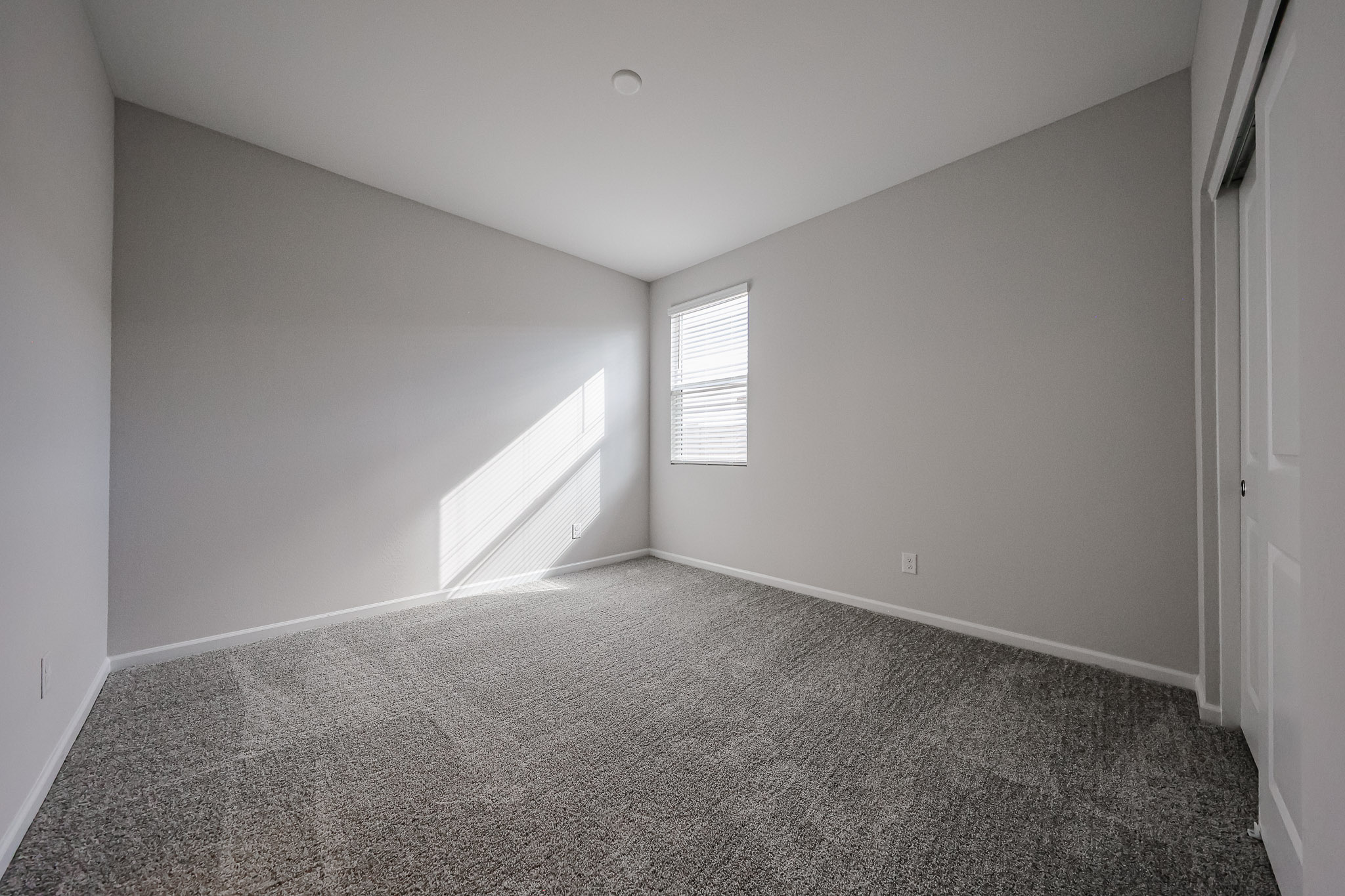 A room with a carpet and a window.
