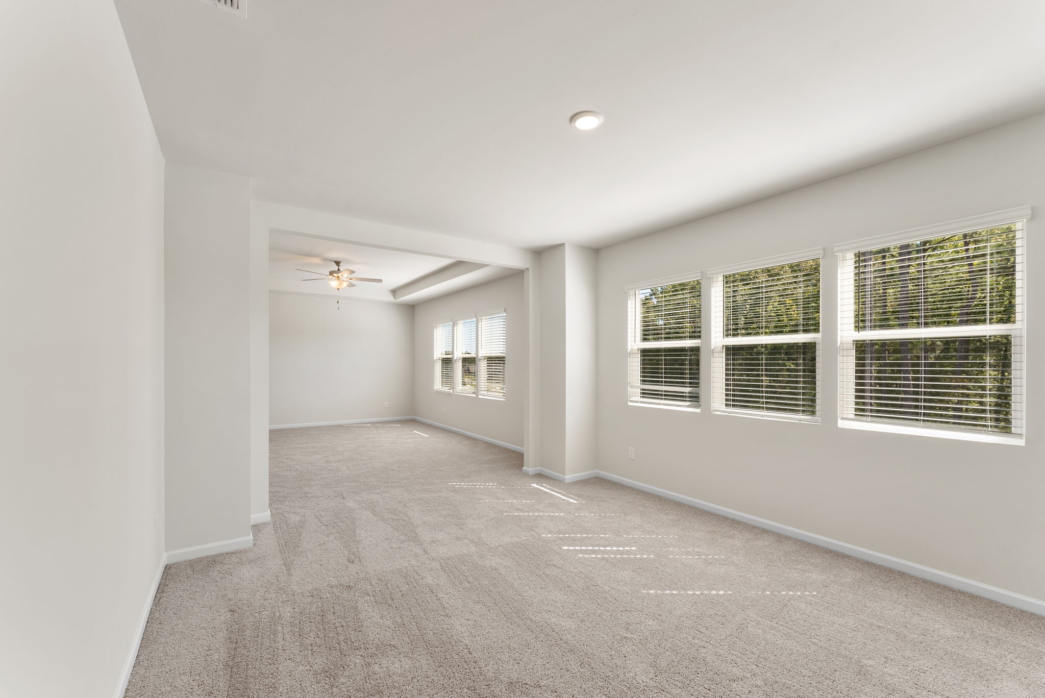 A room with a carpet and windows.