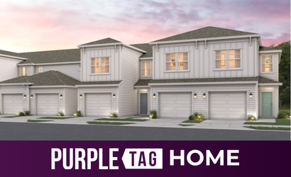 Lot 69 Purple Tag Home at The Villas at Bishop Oaks in Jacksonville
