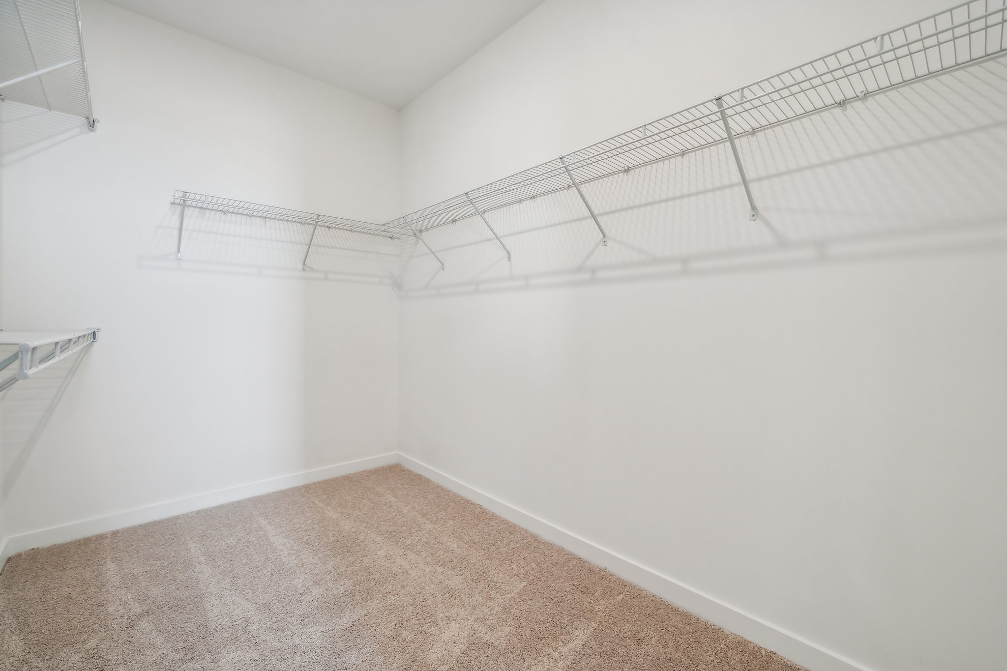 A white room with a carpet.