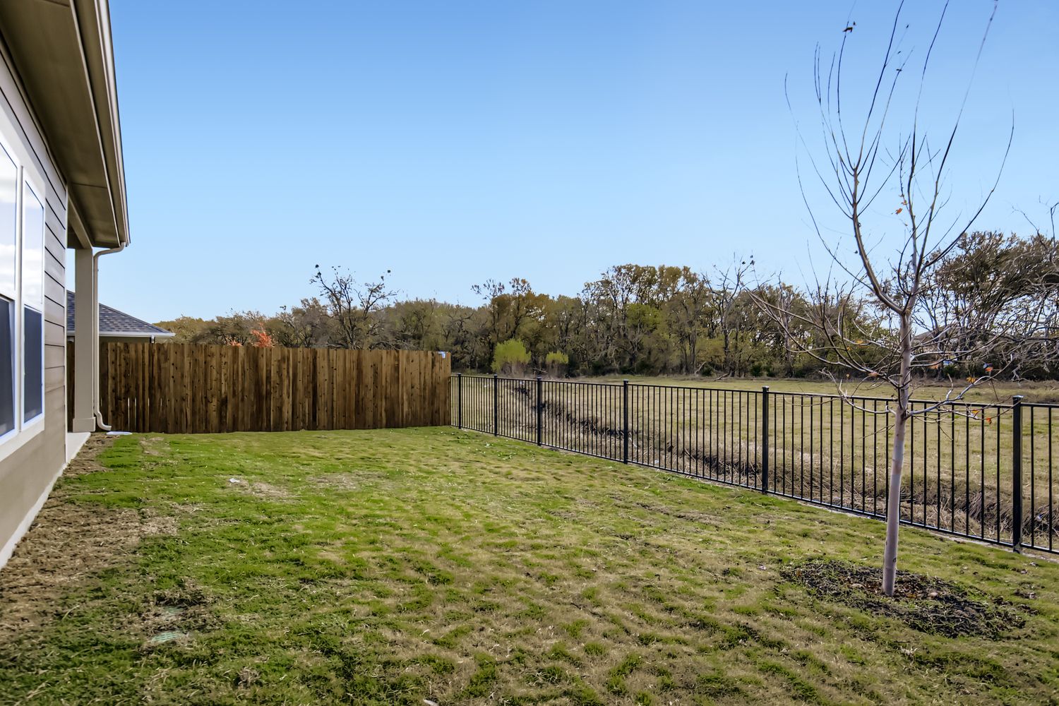 A fenced in yard with a tree and a house in the background.