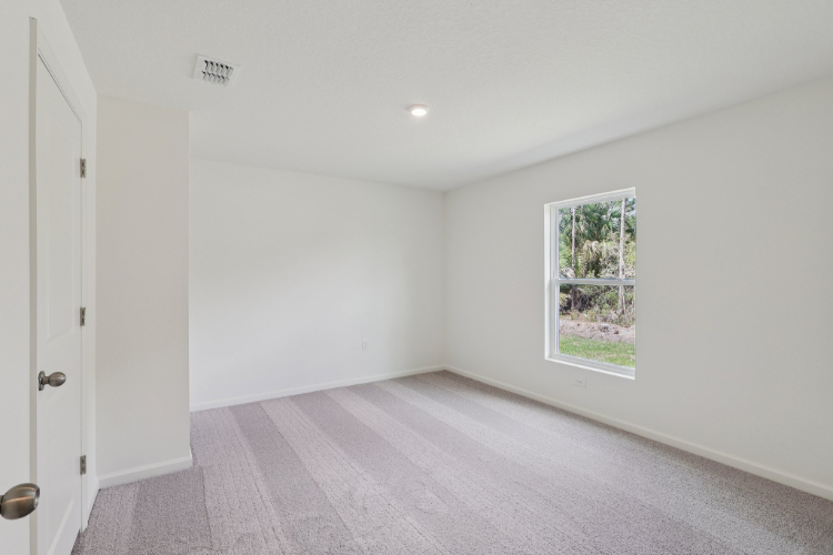 A room with a window and a rug.